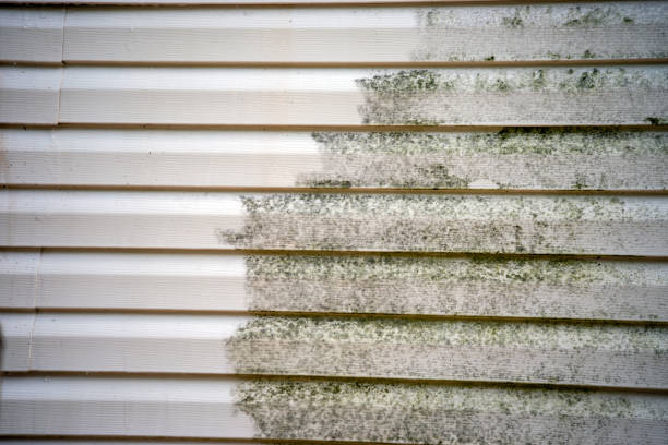 Best Fiber Cement Siding Installation  in Lake Arrowhead, CA